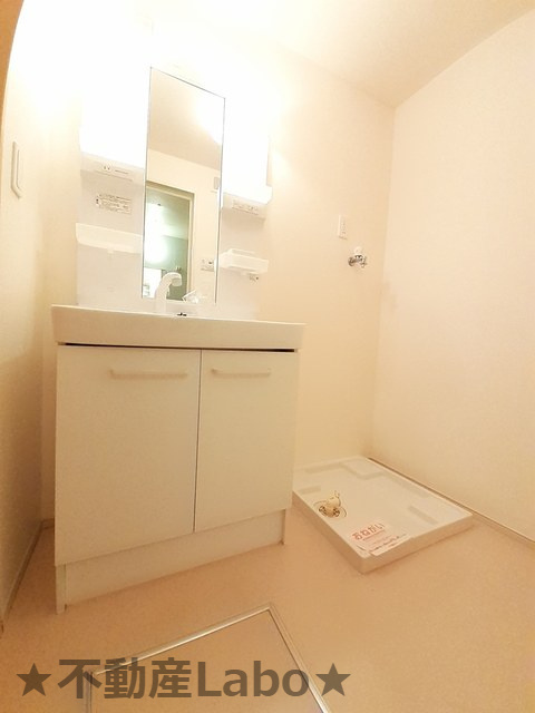 ヴィラグウルドイル　206の洗面所