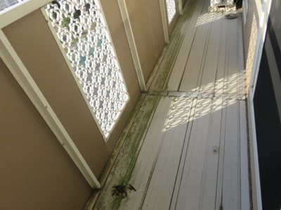 【バルコニー】 | リバーサイドコーポ