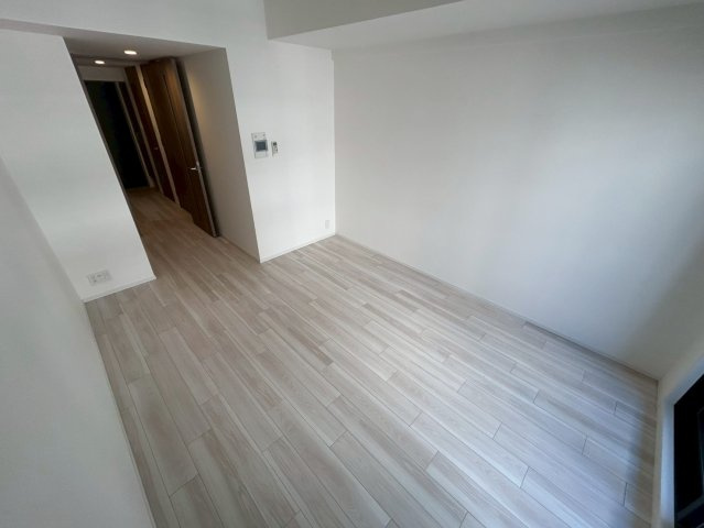 S-RESIDENCE難波大国町dominaの洋室