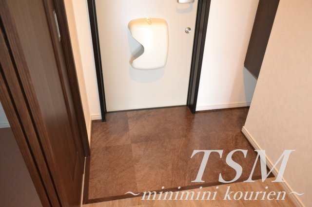 ルシアコートＭＩＴＳＵＹＡの玄関|玄関ドアポスト付