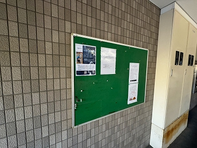 グレース・コートのその他