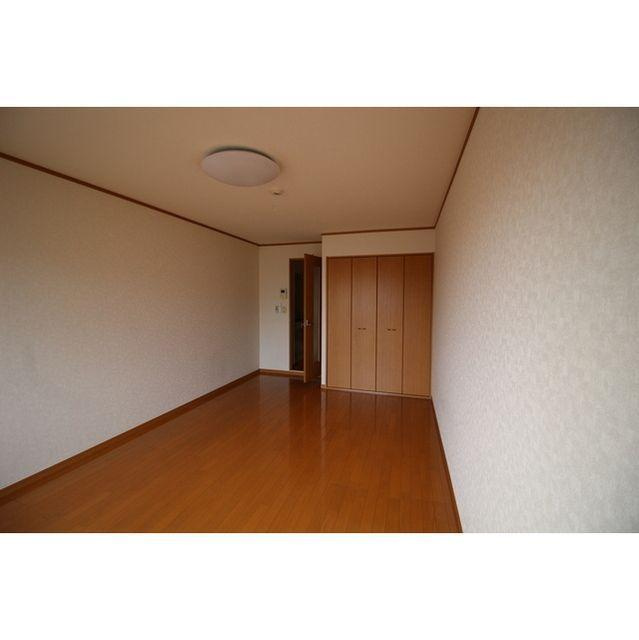 アムール L.Aのその他