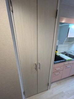 SERENiTE江坂四番館の収納|ちょっとした収納スペースも充実しています