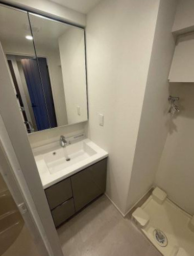 パークアクシス錦糸公園の洗面所