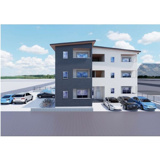 ブルームひまわりの画像