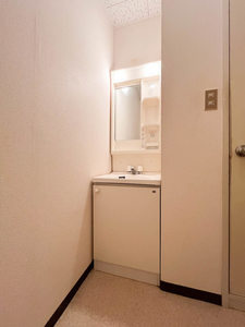 泉大津市池浦町１丁目のハイツの洗面所|洗面所です