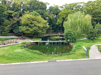 【その他】 | ESR横浜幸浦ディストリビューションセンター1 | 敷地内にビオトープあり。鴨やメダカの住む癒しのスポットです。