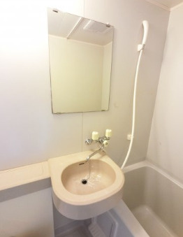 カスタリア船橋の洗面所