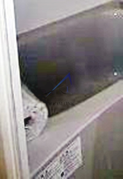 ソレーユ雑司が谷