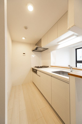 【キッチン】 | ＬＡＰｉＳ武蔵小山