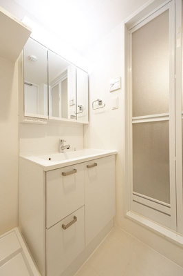 【独立洗面台】 | ＬＡＰｉＳ武蔵小山