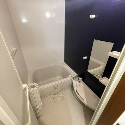 デリス・メゾンⅢの浴室