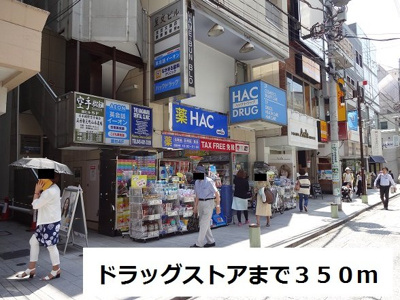 【周辺】 | ラフェリオⅡ | ドラッグストアまで350m