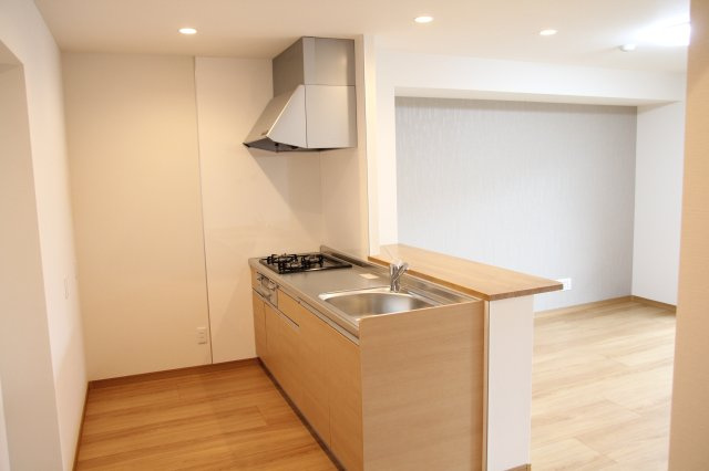 GAIKU宮前のキッチン