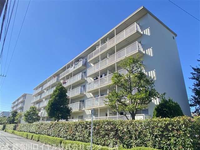 東本郷12号棟の画像