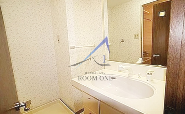 メゾンドール錦糸町ツインの洗面所|洗面台です。