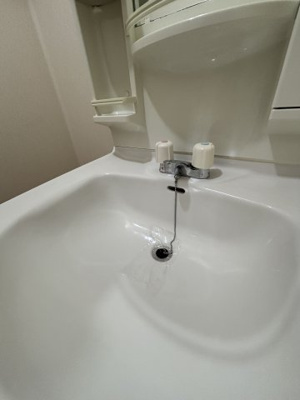 【独立洗面台】 | ブーローニュの森