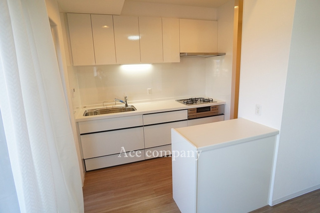 【キッチン】 | サーパス小阪 | 家事の動線確保、3WAYキッチン♪両サイドに勝手口あり♪ランドリー・バルコニーへ直接移動できます♪