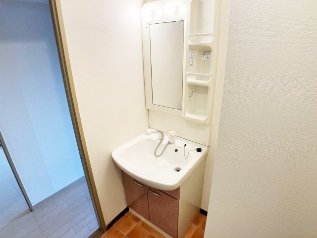 リンデンバウムＪ３の独立洗面台