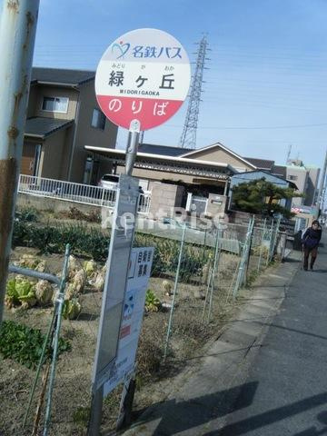 リベラパーク７|「緑ケ丘」バス停留所 0.4km