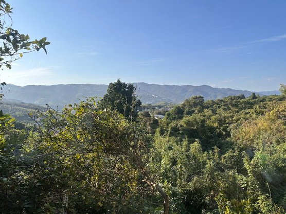 【展望】 | 伊東市玖須美元和田　戸建