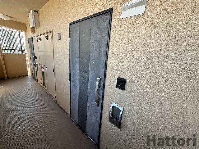 RADIANCEのその他