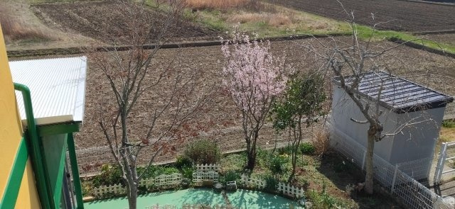 【展望】 | 山武市姫島　中古戸建