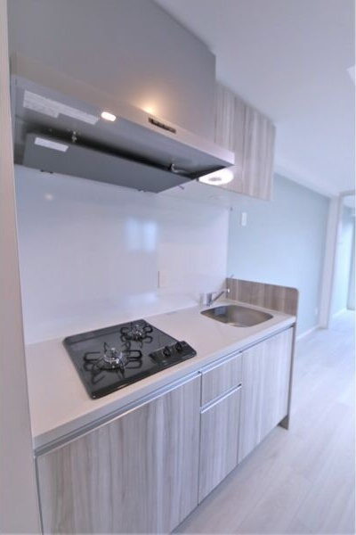 ヴェルデシア名駅南(旧ルネフラッツ名駅南)のキッチン