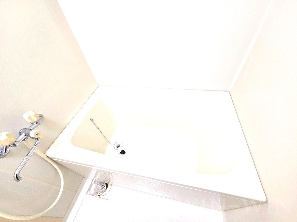 アルテスタ牟呂の浴室