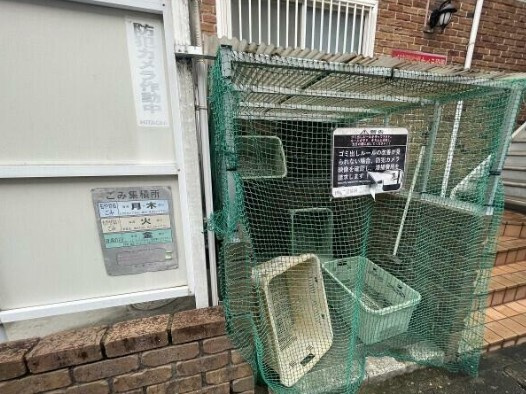 ラフィーネのその他