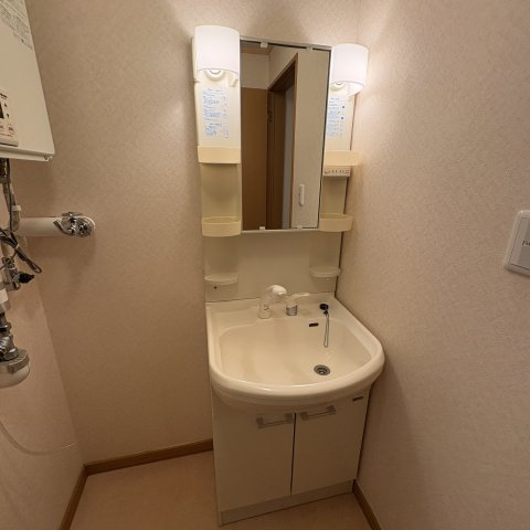 コーポオアシスの洗面所
