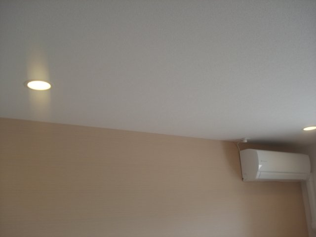 サン・クリストバルの設備|ダウンライト