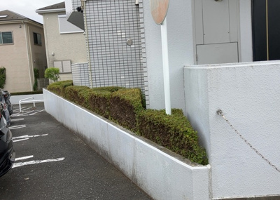 【庭】 | 三協鶴間ガーデンハウス | 物件によっては、入居者が個人的に使用できる専用庭がついているものもあります。また、住宅の中にある土間の部分を庭と呼ぶこともあります。庭の用途は住む人によって変わり、それによってデザインもさまざまです。