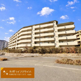 緑ヶ丘コータースの画像