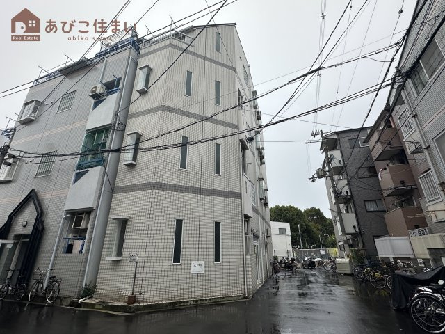 アスカ藤の外観