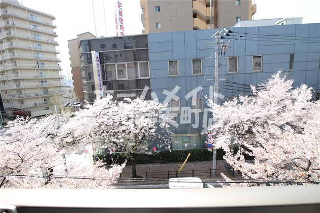 【展望】 | ハイネス磯路 | 春は桜が綺麗です