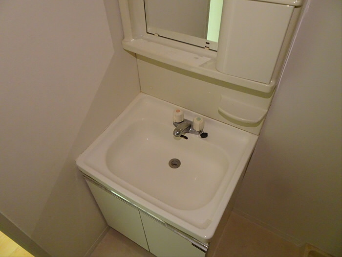 ラメゾン国分の洗面所