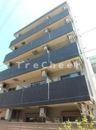 スプリングストーンエム(スプリングストーンM)