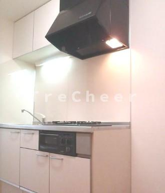 スプリングストーンエム(スプリングストーンM)のキッチン