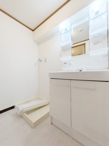 グリーンゼファーの洗面所