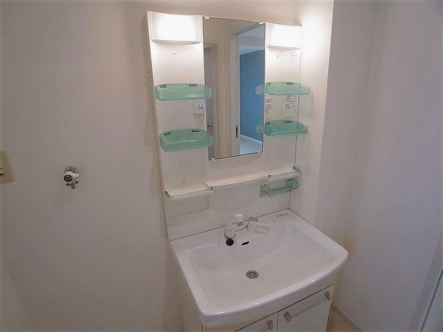 プラーフ羽坂の洗面所|脱衣所にシャンプードレッサーと室内洗濯機置場