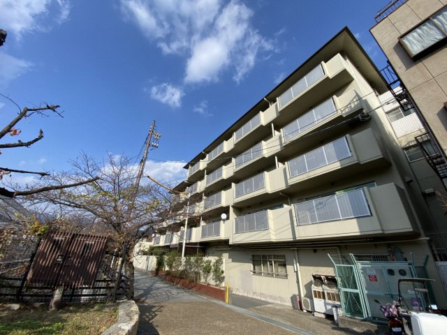 ハウゼケイ魚崎