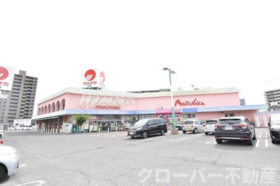  | クライノートB | マルナカパワーシティ丸亀店