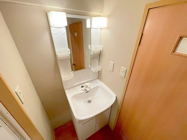 メゾン豊里の独立洗面台