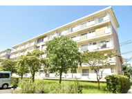 光明台13号棟の画像