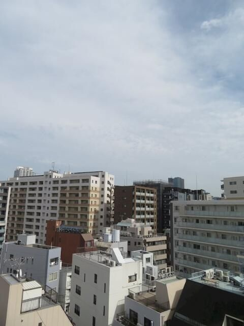 日神パレステージ御茶ノ水の展望