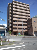 プロミネンスの画像