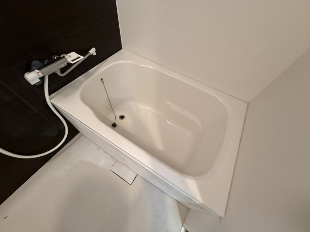 ファーストモダン池田の浴室