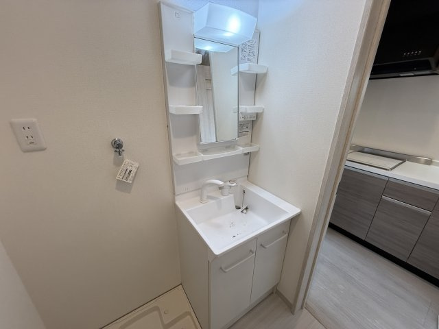 ファーストモダン池田の洗面所