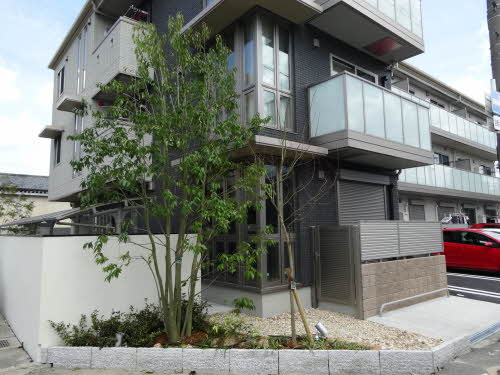 ＳｈａＭａｉｓｏｎ　ＬＵＭＩＥ